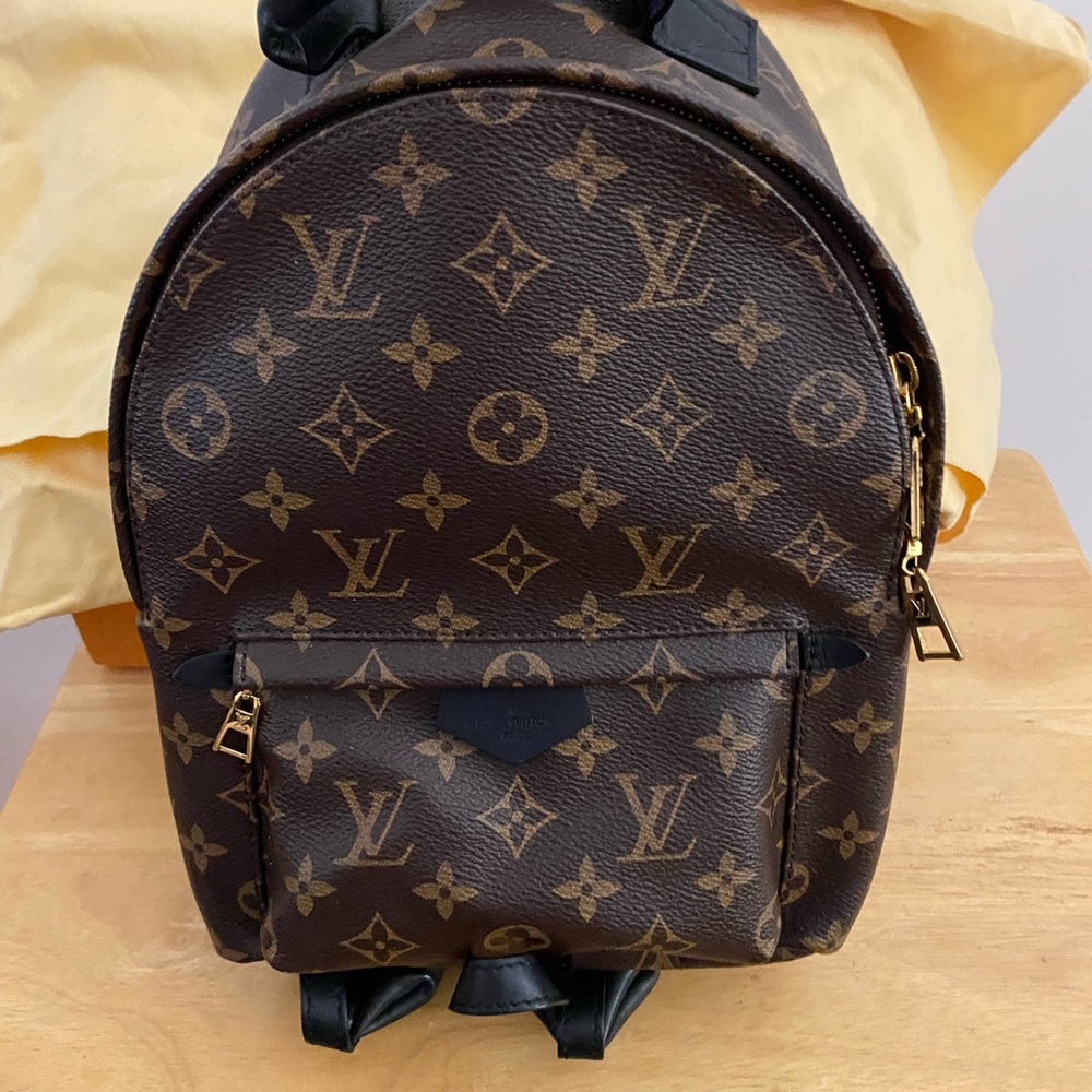 Louis Vuitton Palm Spring PM Backpack Monogram EUC July 4th Sale 🎉🎊💞
